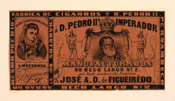 vizualizar o documento on line